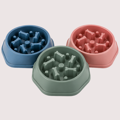 SlowBowl™ – Better Feeding, Better Digestion, Happier Dogs