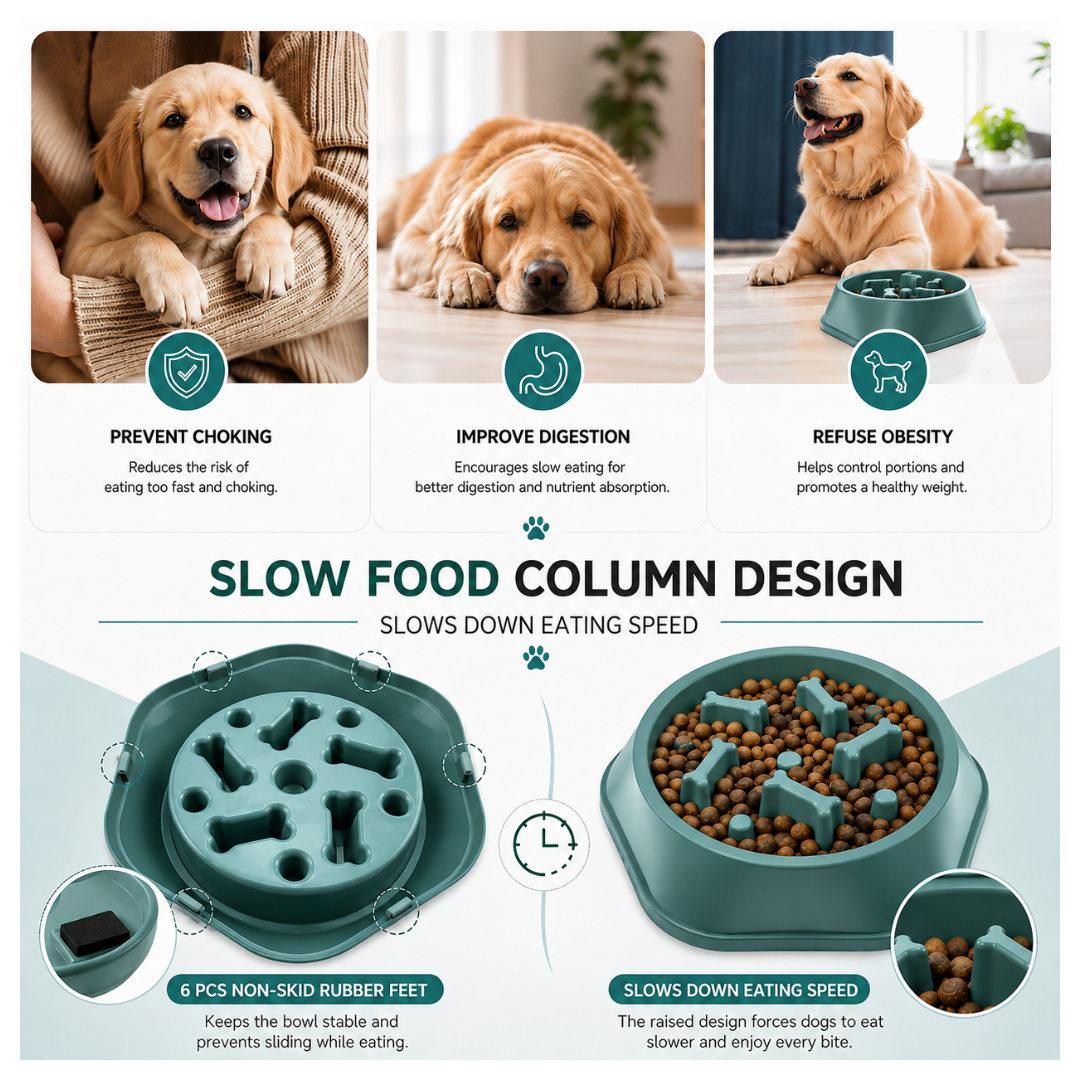 SlowBowl™ – Better Feeding, Better Digestion, Happier Dogs