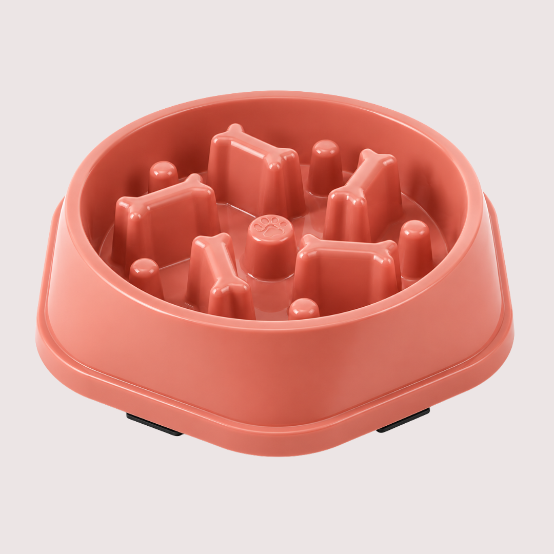 SlowBowl™ – Better Feeding, Better Digestion, Happier Dogs