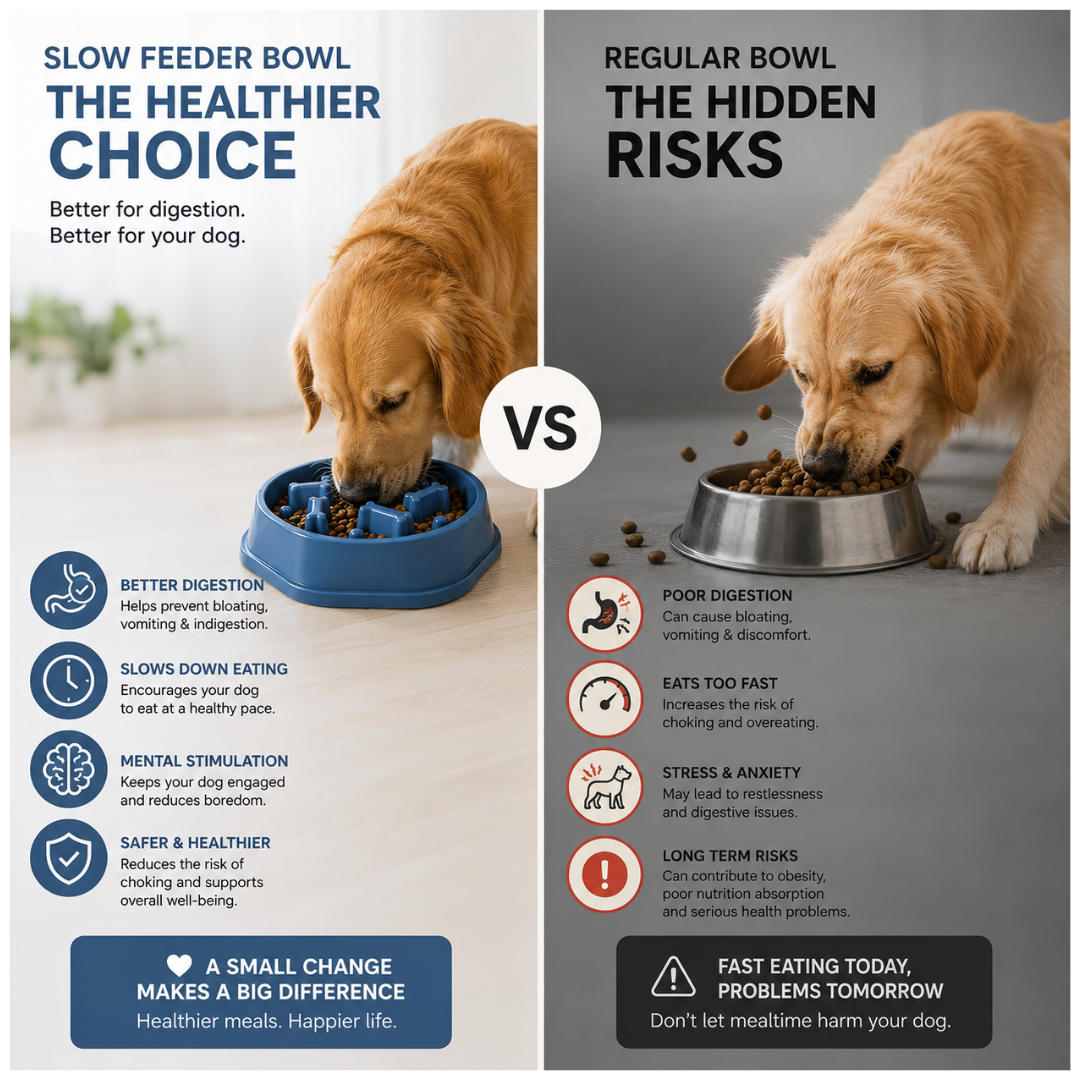 SlowBowl™ – Better Feeding, Better Digestion, Happier Dogs
